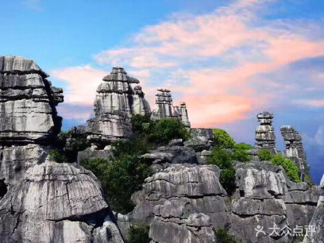 Stone Forest Mijia Guest House Shilin Exterior photo